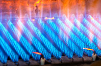 Rednal gas fired boilers